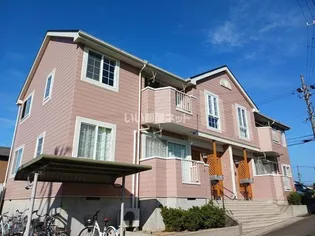 ピュア エンジェルの画像