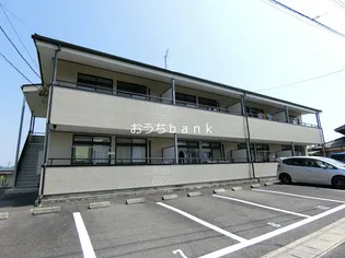 サープラス向日葵の画像