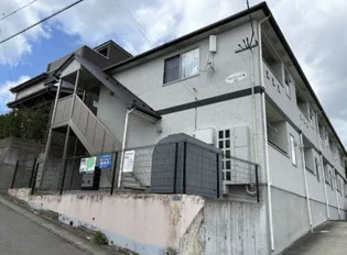 ミルフィーユ桜の画像