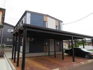 レヴァントレットの画像