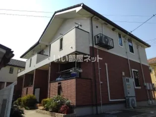 デイジーの画像