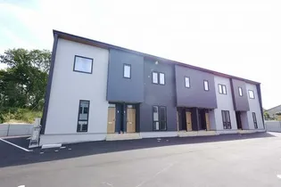 サンフラワー白尾IIの画像