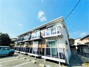 NOTTE STELLATAの画像