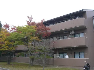 メゾン友朋苑の画像