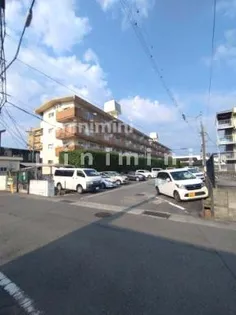 熊本県熊本市中央区国府2【マンション】の外観