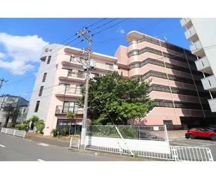 チェリーコート岡野【4階】の外観