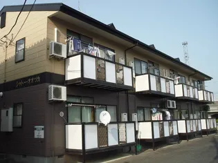 シャトーオオツカ【1階】の外観