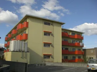 ルミウス片山の画像