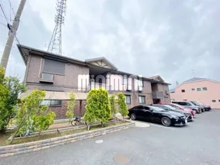 カンパーニュAの画像