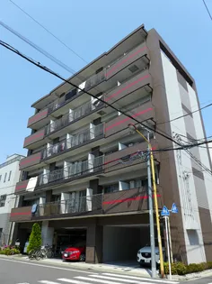 ワイサップの画像