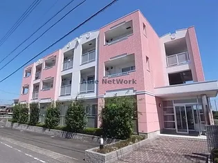 ローズマリーの画像