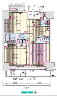 プレサンスTHE新栄【5階】の間取り