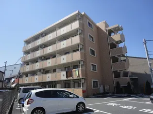 エバーソレイユの画像