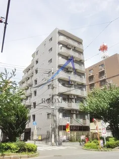 ベルグラン プルーネの画像