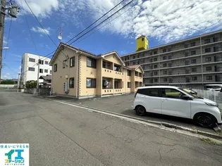 ベルナール加賀野の画像