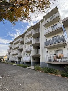 MYLORD KAMAKURA VOL1の画像