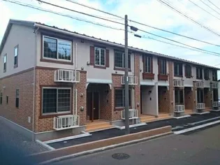 コッティあざみの画像