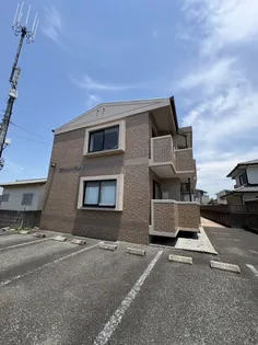 グリーンリーブス若葉の画像