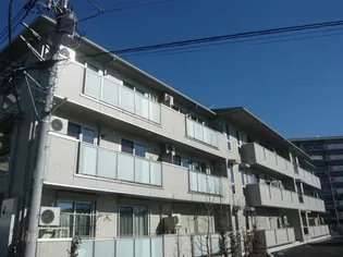 リベラマーロの画像