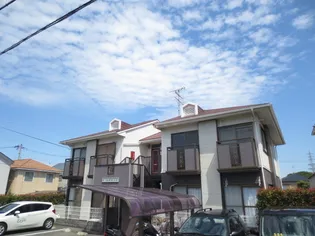 藤ハイツA棟【1階】の外観