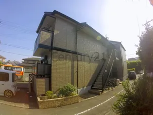 うぃんでぃあの画像