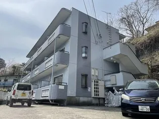 グレース香澄の画像