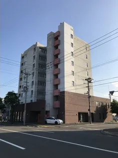 コートドラセナの画像