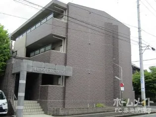 ルピナスUMESATOの画像