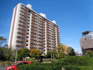 鴨池ニュータウンサンハイツ 3号棟の画像