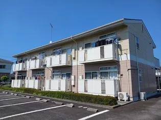 ウォールナットの画像