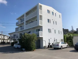 ミカサスカサの画像