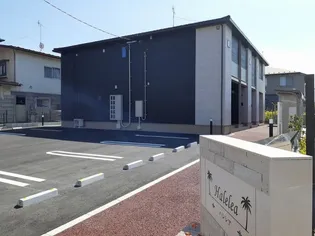 HALELEAの画像