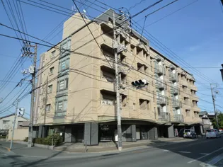 ヒューマンズ沖野上【5階】の外観