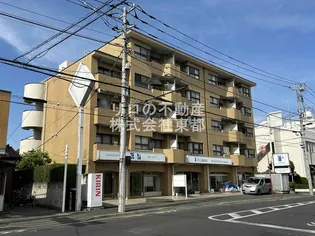 グレース秀和の画像