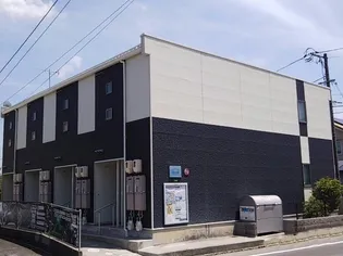 レオネクストミドリソウの画像