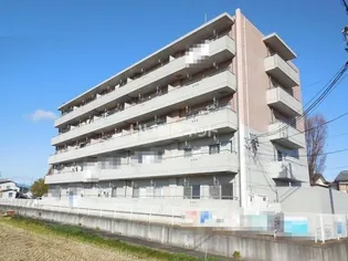 スクエア25の画像