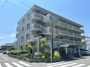 パストラルベルフラワーの画像