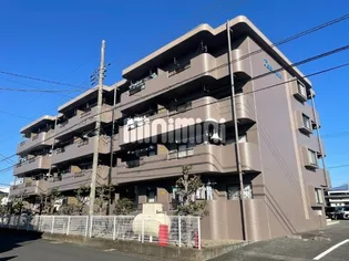 ドルフィンの画像