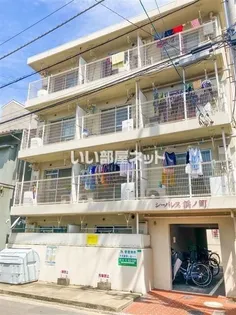 シーパレス浜ノ町【4階】の外観