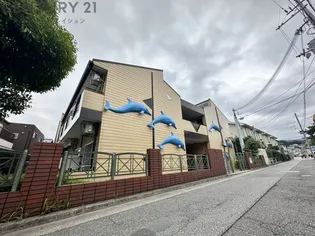 カリフォルニアドリームの画像