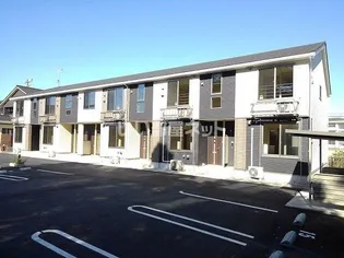 トライブDの画像