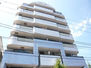 エーデルブルーメナンバー12の画像