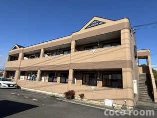 ベルカーサの画像