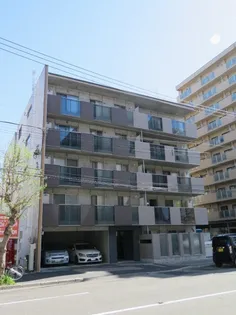 NーSELECTION STELLAの画像