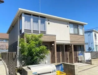 カーサミミーの画像