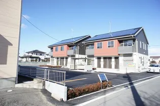 ツリー フィールドA Bの画像