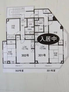 ザオバービュー【3階】の間取り