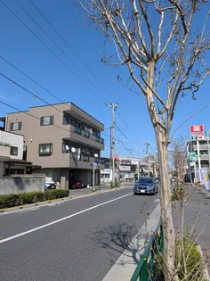 ザオバービューの画像