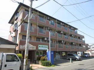 ハピネスイトウの画像