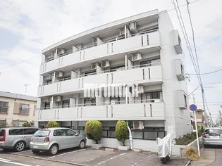 アルペンローゼの画像